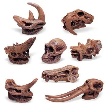 Развивающая игрушка для познания детей, модель ископаемых животных для раннего обучения, Археологические Фигурки черепов млекопитающих, Доисторические